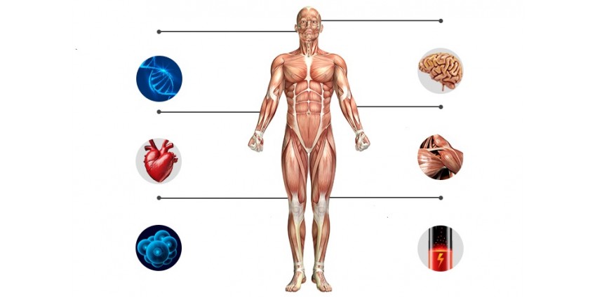 FEEL 15 YEARS YOUNGER IN JUST 8 WEEKS WITH THIS ANTI-AGING FORMULA!